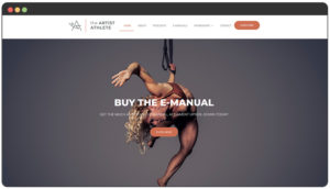 Aerialist website developer