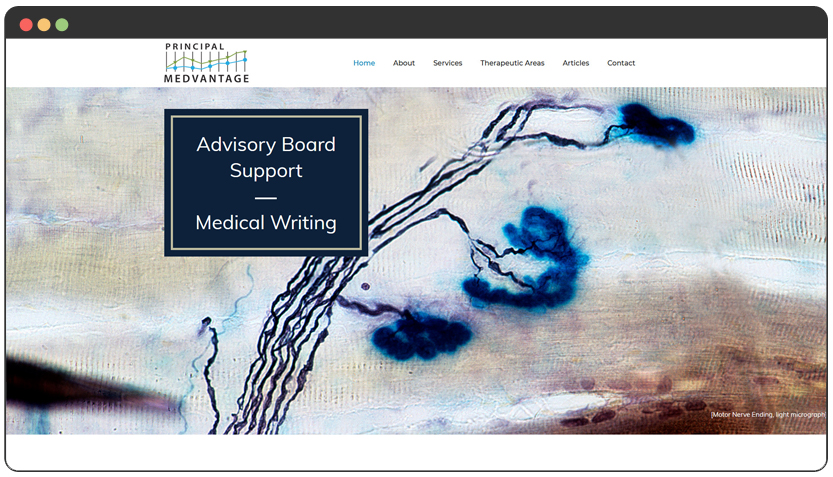 portfolio Medical Writer