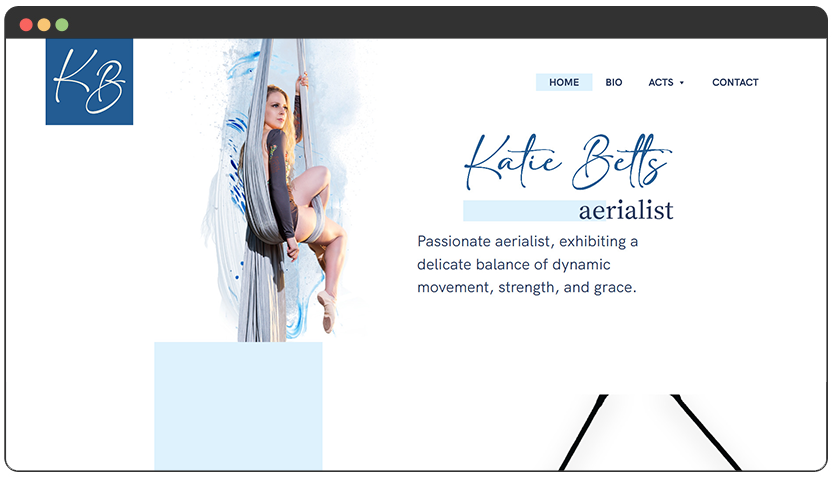 portfolio Aerialist